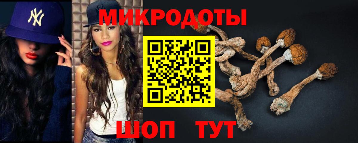 Псилоцибиновые грибы мицелий  Вход с VPN  Коряжма 