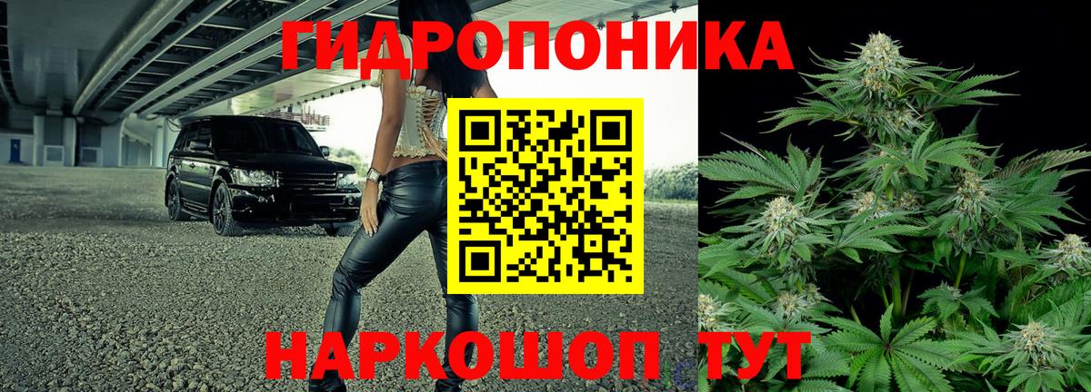 Бошки марихуана Ganja Коряжма
